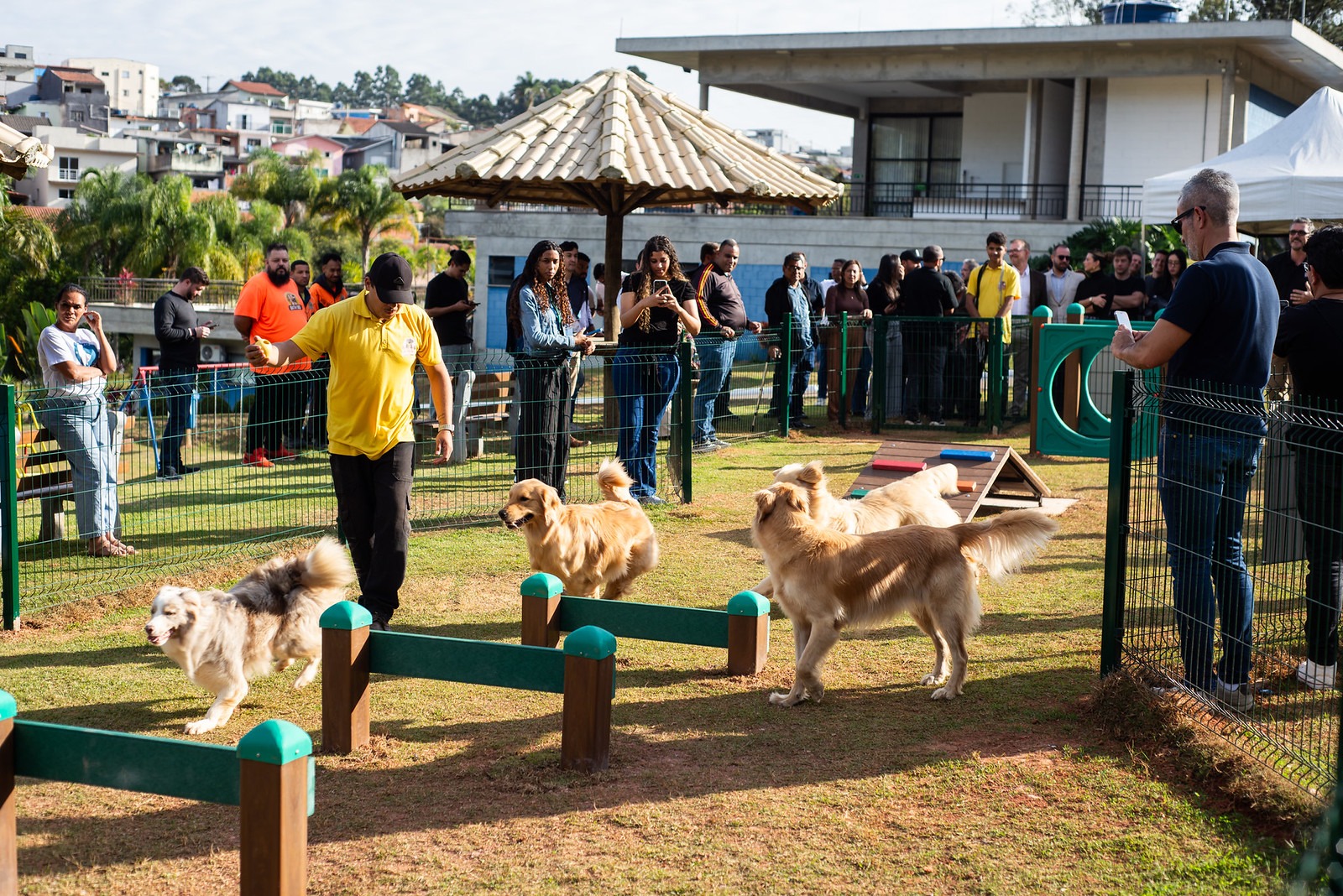 Últimas vagas para Seminário de Bem-Estar Animal em Ferraz de Vasconcelos