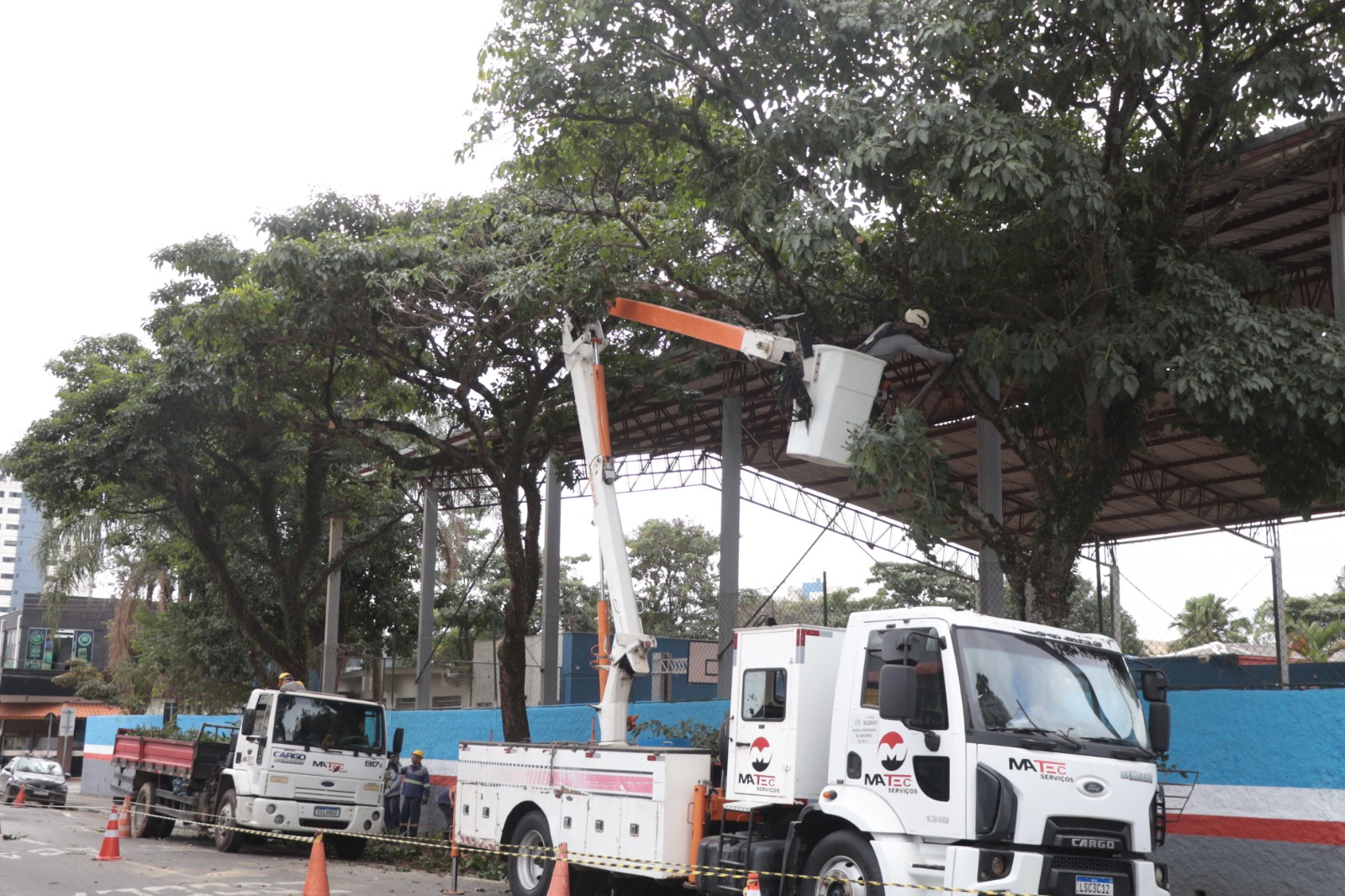 Suzano intensifica poda de árvores em 16 ruas para reduzir riscos com ventos fortes