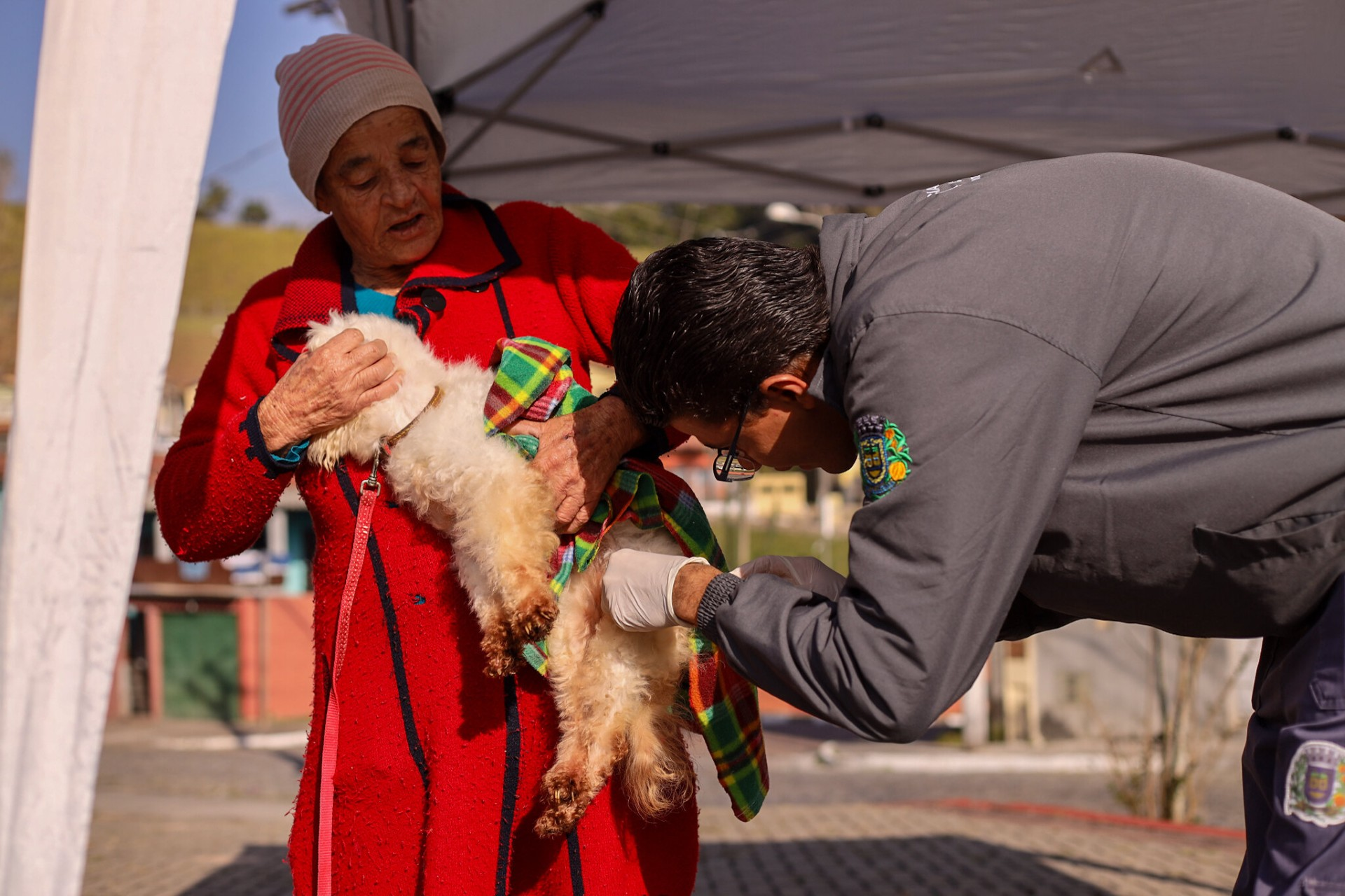 Prefeitura de Guararema realiza vacinação antirrábica em quatro bairros em outubro